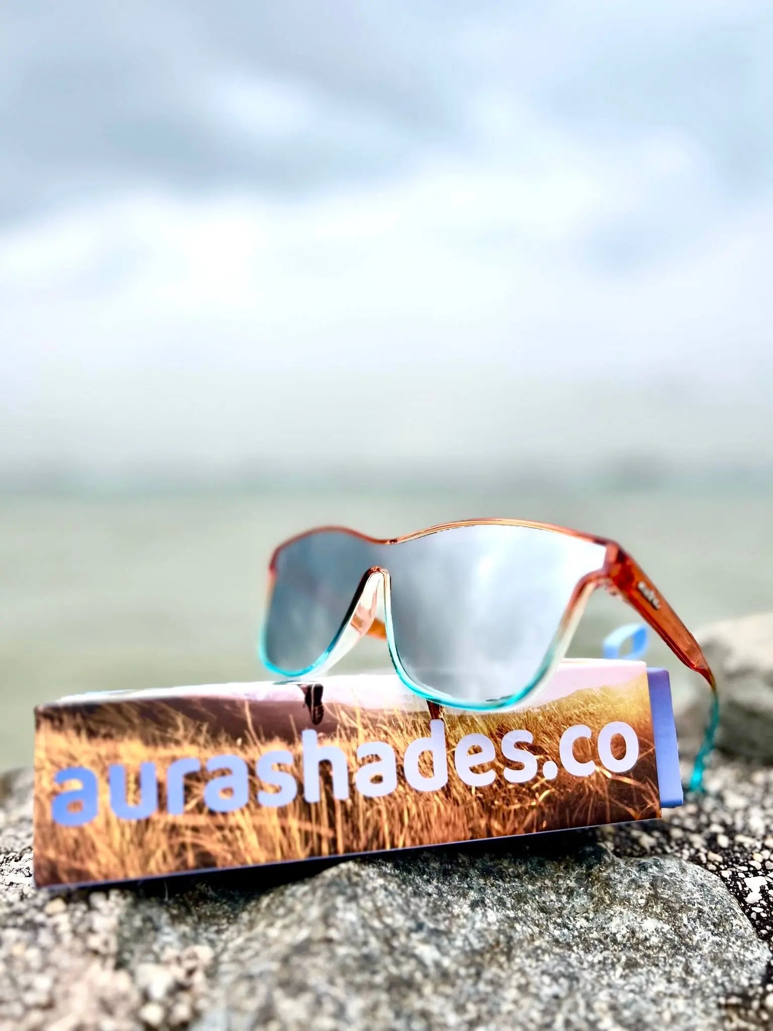 DISCO PIGEON TAKES FLIGHT Aura Shades